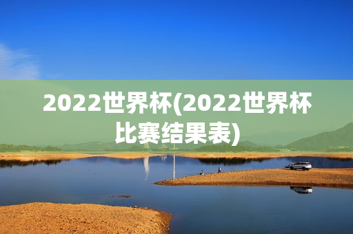 2022世界杯(2022世界杯比赛结果表)