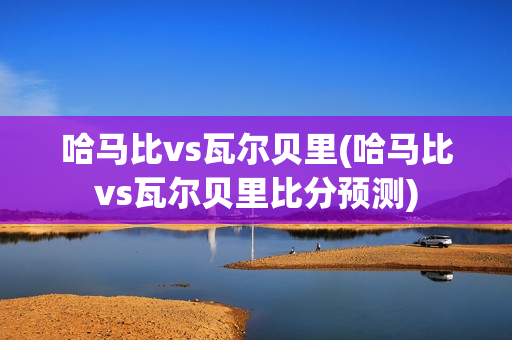 哈马比vs瓦尔贝里(哈马比vs瓦尔贝里比分预测)