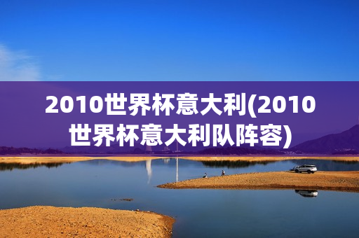 2010世界杯意大利(2010世界杯意大利队阵容)