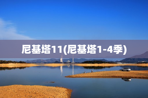 尼基塔11(尼基塔1-4季)