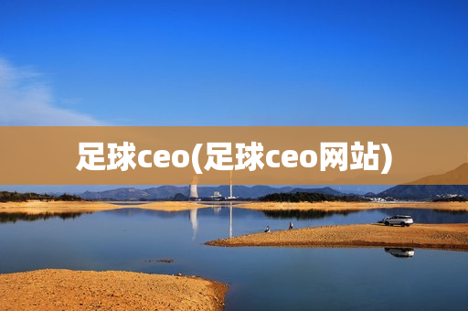 足球ceo(足球ceo网站)