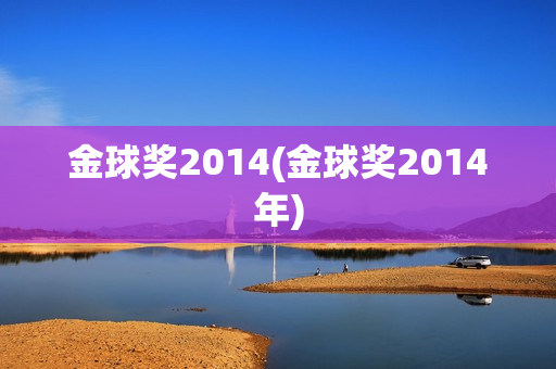 金球奖2014(金球奖2014年)