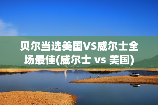 贝尔当选美国VS威尔士全场最佳(威尔士 vs 美国)