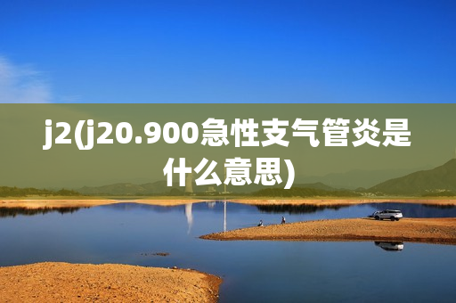 j2(j20.900急性支气管炎是什么意思)