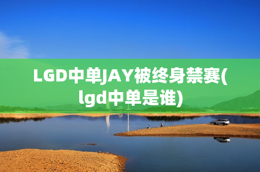 LGD中单JAY被终身禁赛(lgd中单是谁)