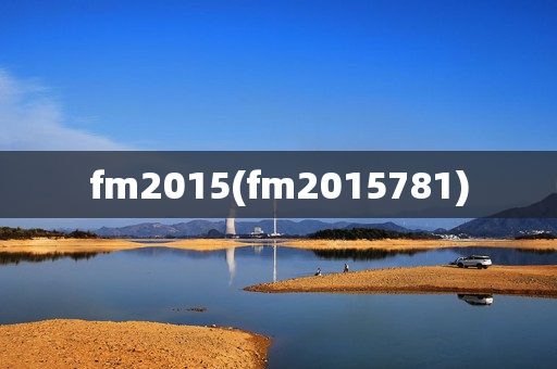 fm2015(fm2015781)