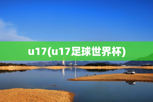 u17(u17足球世界杯)