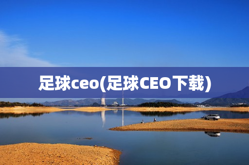 足球ceo(足球CEO下载)