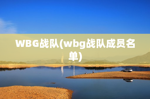 WBG战队(wbg战队成员名单)