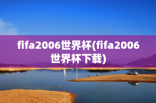 fifa2006世界杯(fifa2006世界杯下载)