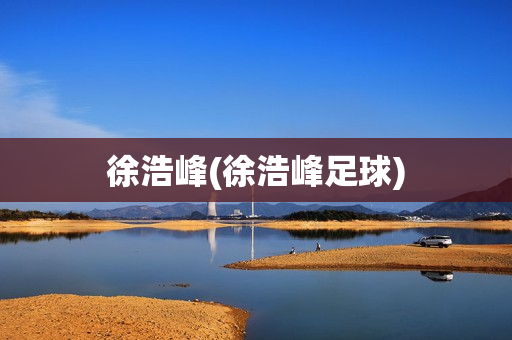 徐浩峰(徐浩峰足球)