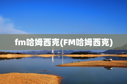 fm哈姆西克(FM哈姆西克)