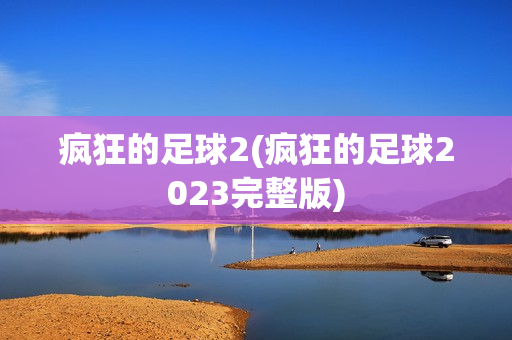 疯狂的足球2(疯狂的足球2023完整版)