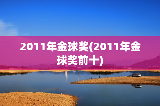 2011年金球奖(2011年金球奖前十)