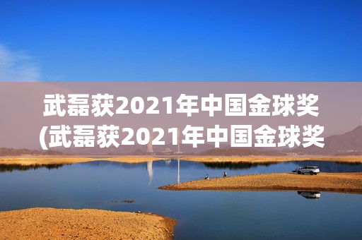 武磊获2021年中国金球奖(武磊获2021年中国金球奖3371lf)