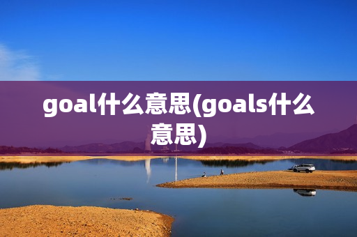 goal什么意思(goals什么意思)