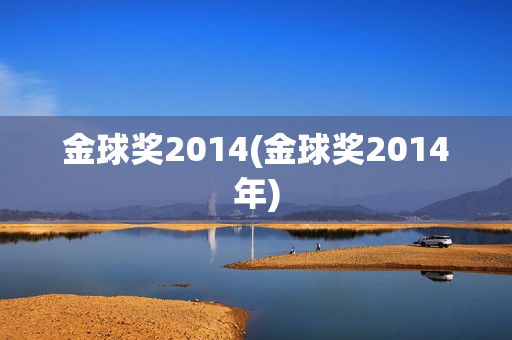 金球奖2014(金球奖2014年)