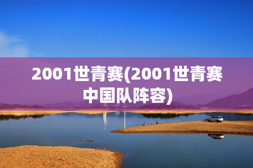 2001世青赛(2001世青赛中国队阵容)