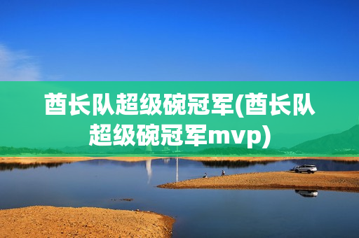 酋长队超级碗冠军(酋长队超级碗冠军mvp)