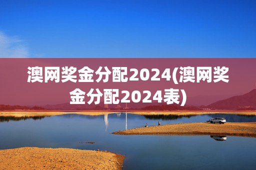 澳网奖金分配2024(澳网奖金分配2024表)