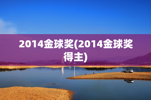 2014金球奖(2014金球奖得主)