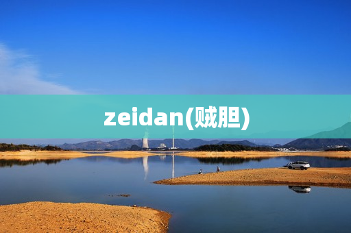 zeidan(贼胆)