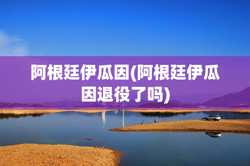 阿根廷伊瓜因(阿根廷伊瓜因退役了吗)