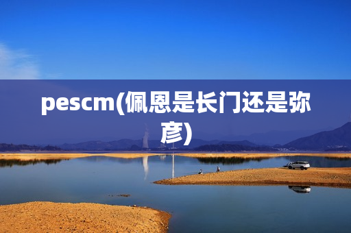 pescm(佩恩是长门还是弥彦)