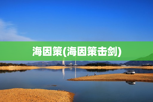 海因策(海因策击剑)