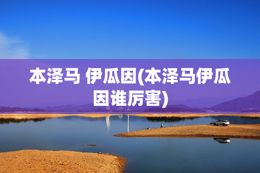 本泽马 伊瓜因(本泽马伊瓜因谁厉害)