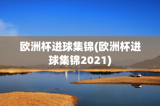 欧洲杯进球集锦(欧洲杯进球集锦2021)