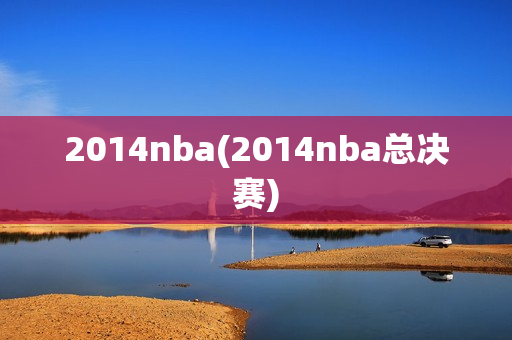 2014nba(2014nba总决赛)