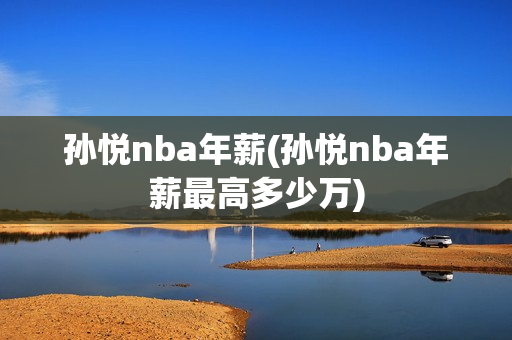 孙悦nba年薪(孙悦nba年薪最高多少万)