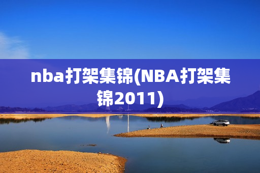 nba打架集锦(NBA打架集锦2011)